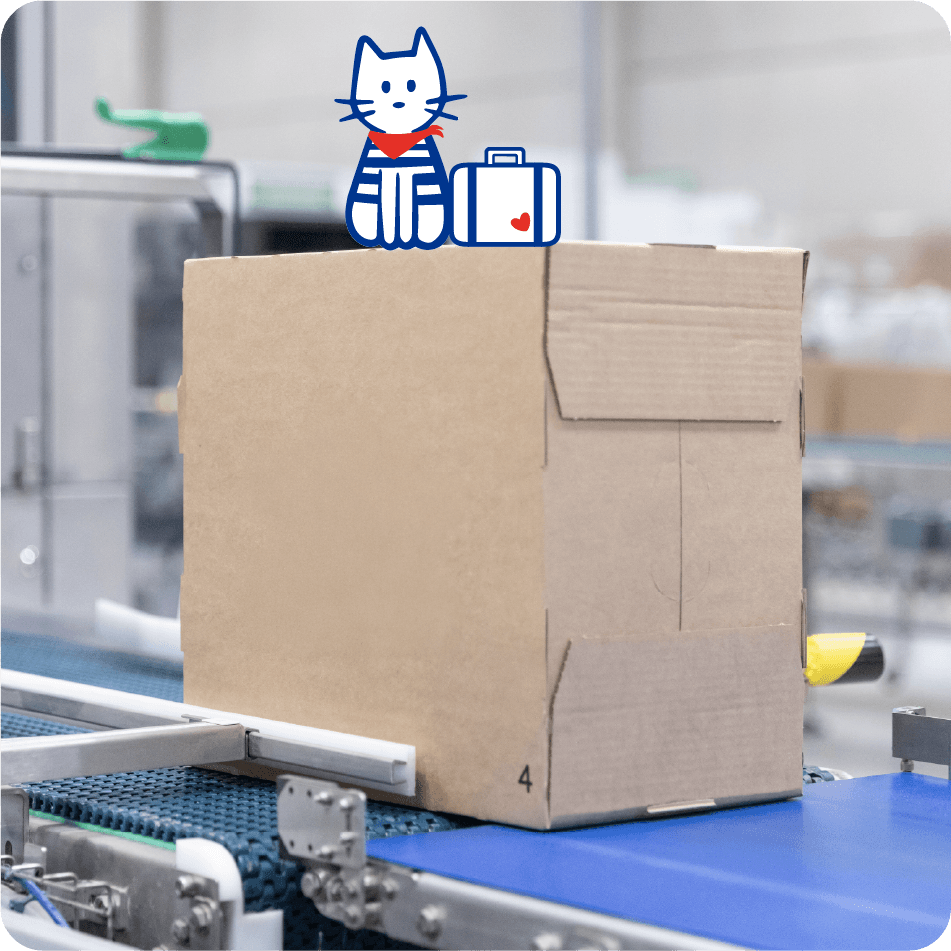 colis Carryboo en préparation expédition
