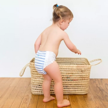 Culottes écologiques Culottes écologiques